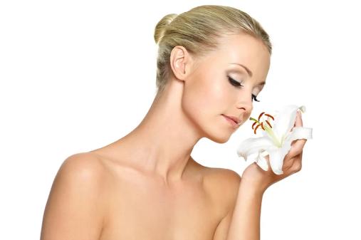 Plastic Surgery 2 Plastic Surgery